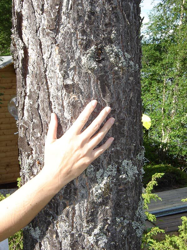 Parvati – Miljö Parvati - Miljö